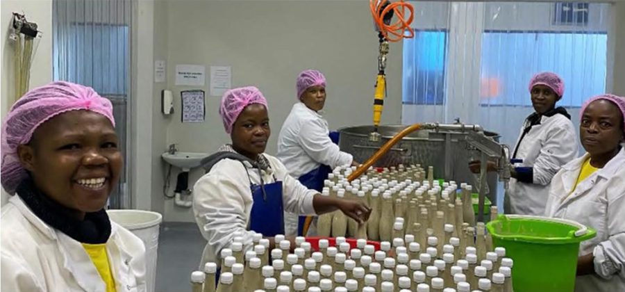 The bottling line team at work
